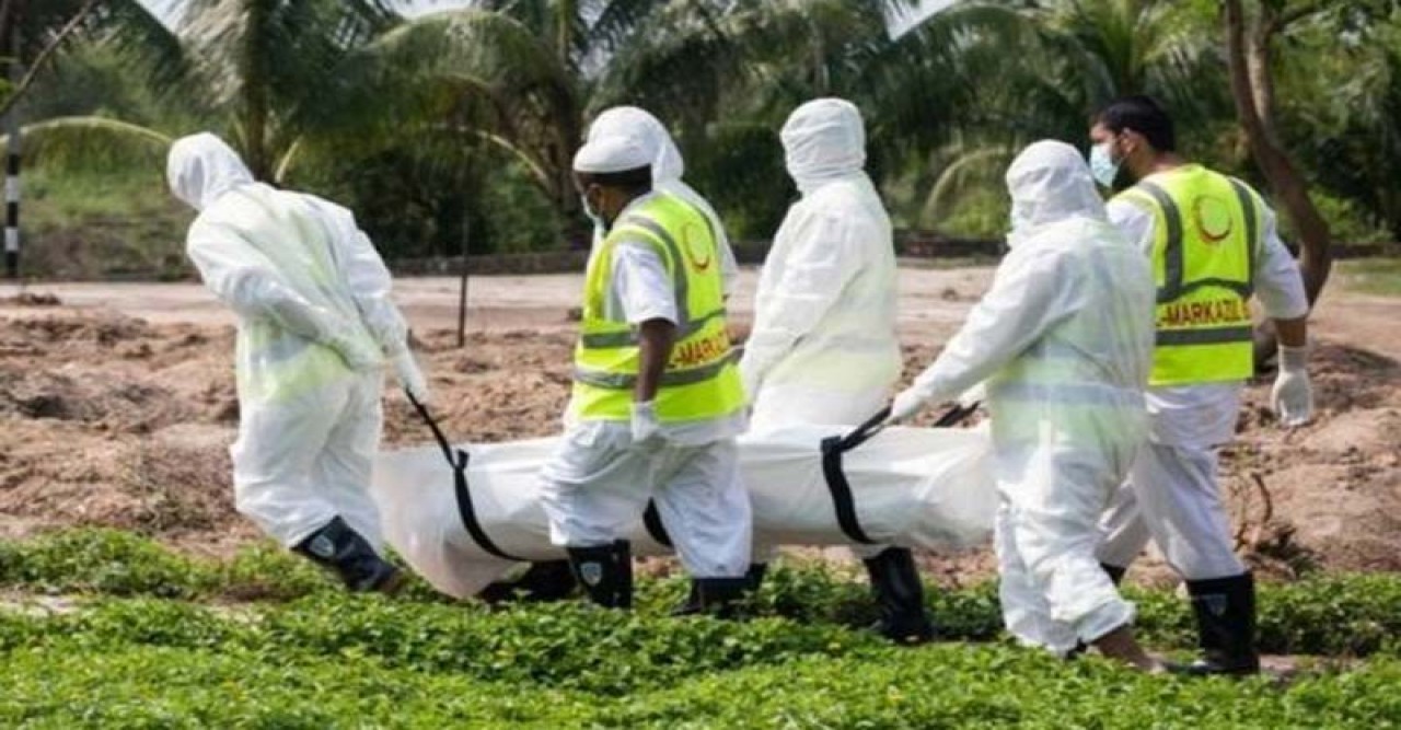 দেশে করোনায় ৭ মৃত্যু, শনাক্ত ৯.৭৭